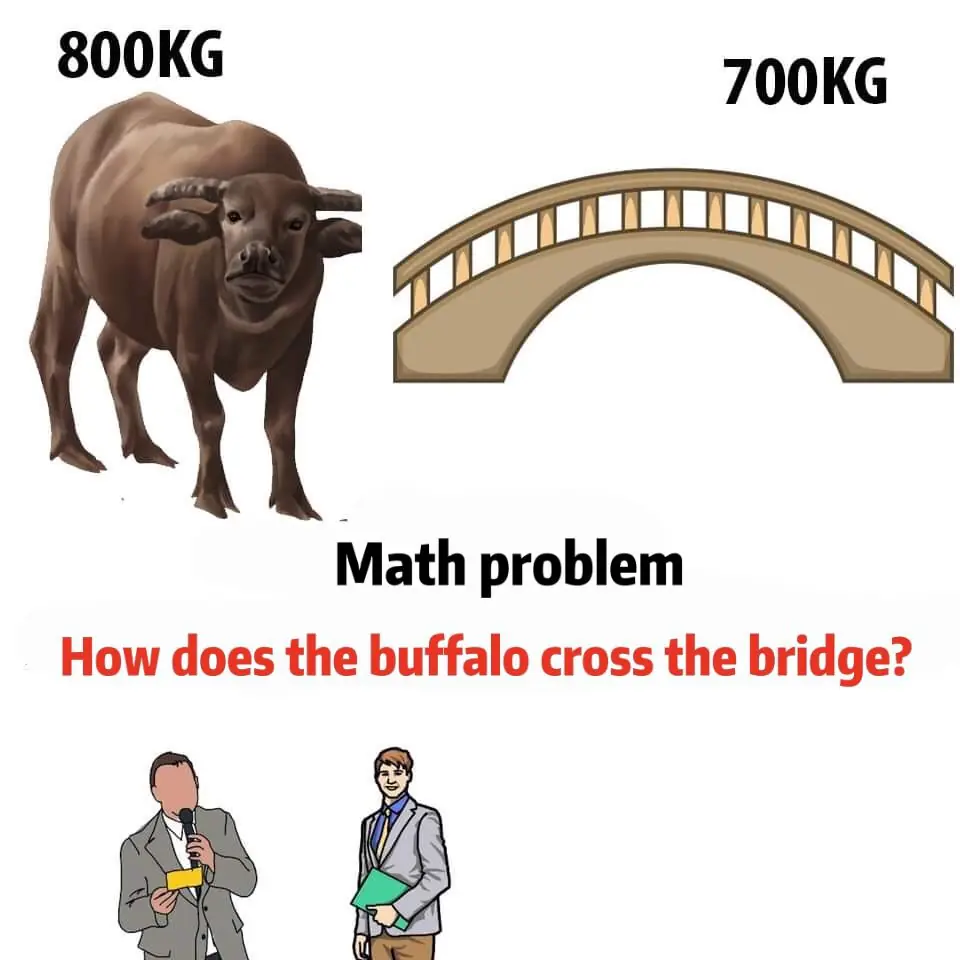 The Buffalo and the Bridge: What a Viral “Huawei Interview Question” Reveals About Business Thinking