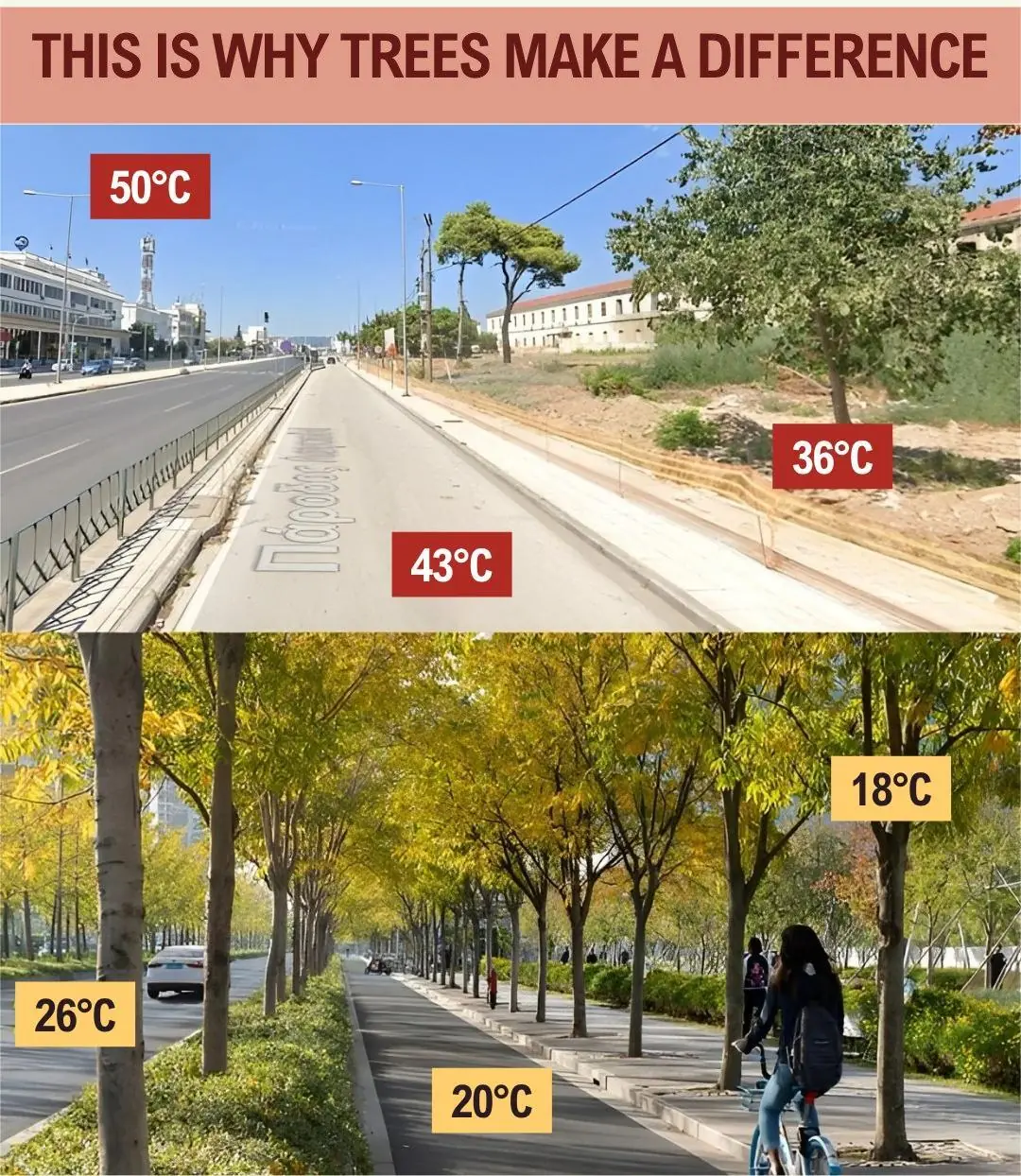 The Silent Cost of Cutting Down Urban Trees