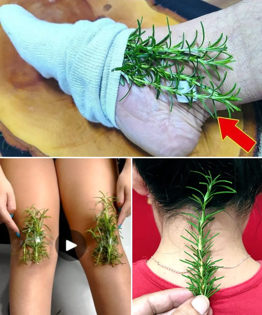 25 Amazing Ways to Use Rosemary That Can Change Your Life