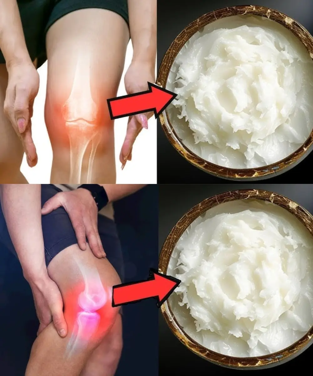 Foods to Rebuild Knee Cartilage: This Is What You Should Eat!