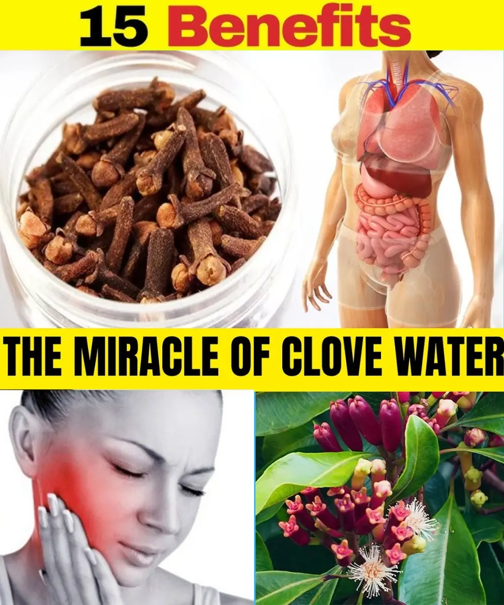 Transform Your Health in Just Days: The Unbelievable Benefits of Drinking Clove Water Daily