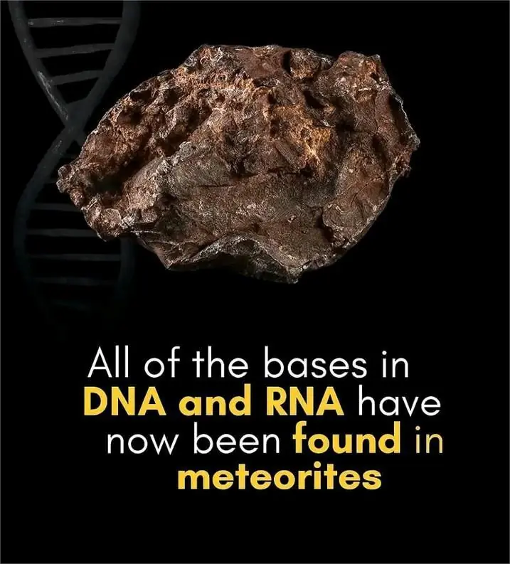 All DNA and RNA Bases Found in Meteorites: Life’s Origins May Be Cosmic