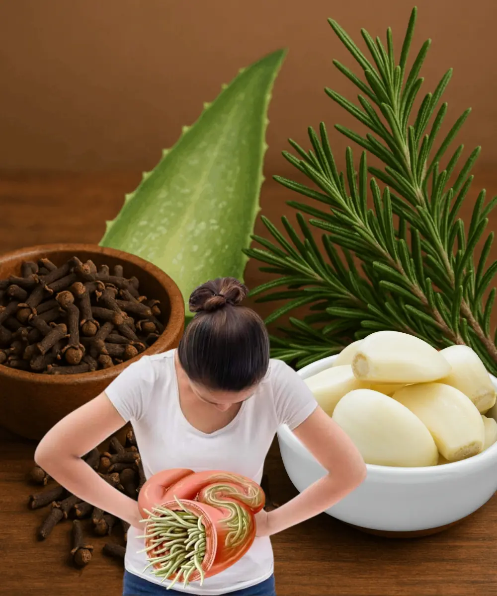 Aloe Vera, Cloves, and Garlic for Intestinal Health: Benefits and Precautions