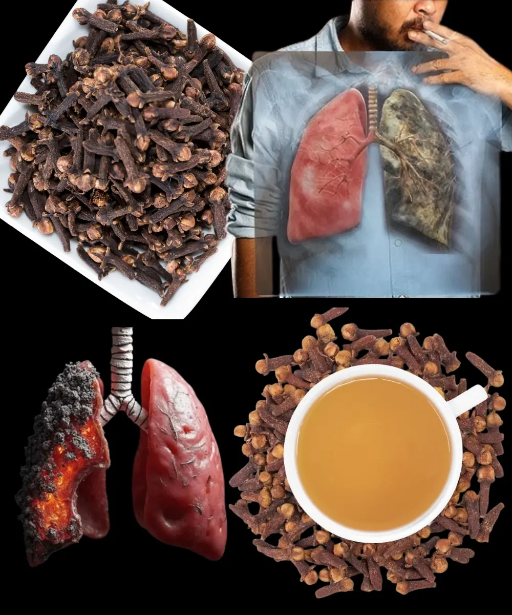 Breathe Easier Naturally: How Cloves Help Combat Respiratory Infections and Bronchitis