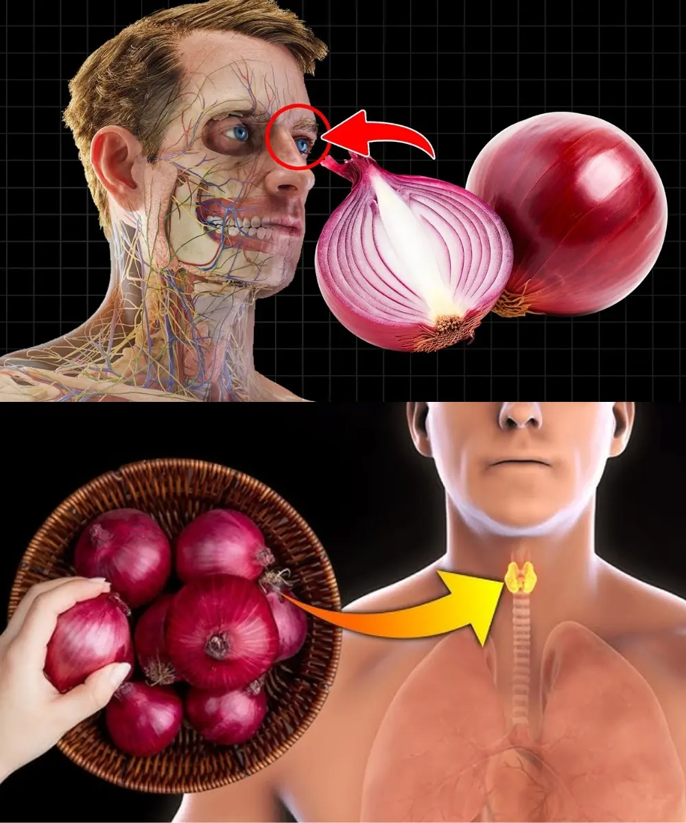 12 Health Benefits of Eating Raw Onions Every Day