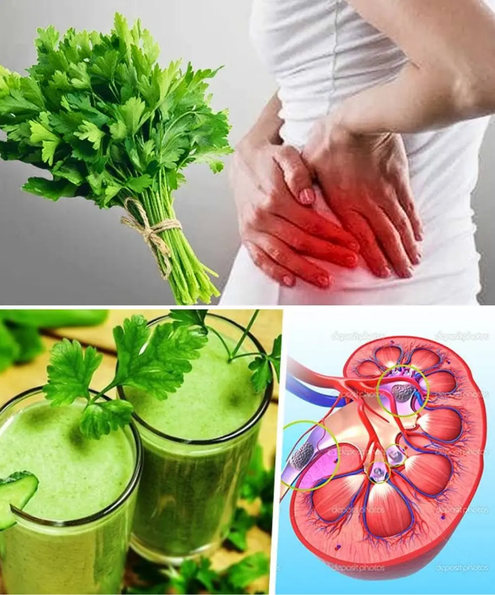 Ancient Herbal Infusion to Cleanse Your Kidneys and Eliminate Toxins