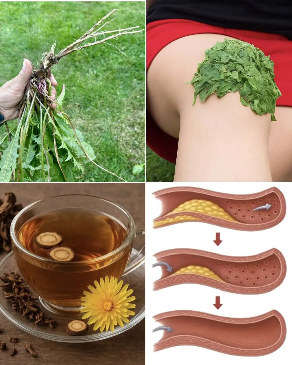Dandelion Root Coffee: A Nourishing Brew from Nature