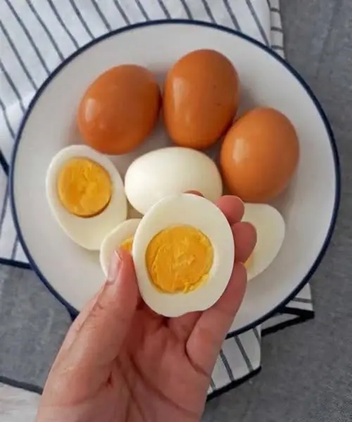 Everything You Need to Know About Eating Eggs Daily — Science-Backed Benefits & What to Watch For