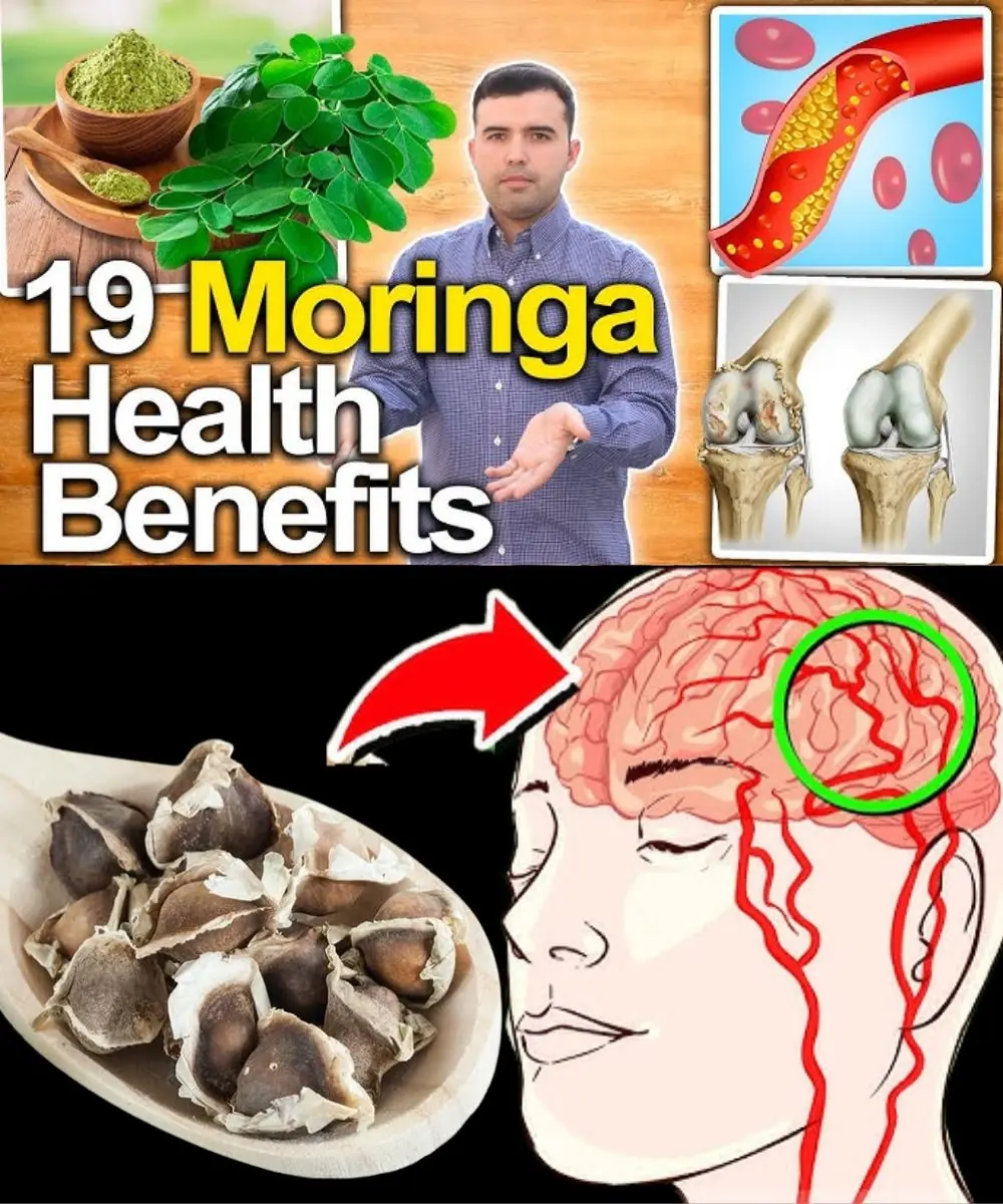 Moringa Seeds: Nature's Tiny Powerhouses for Everyday Wellness