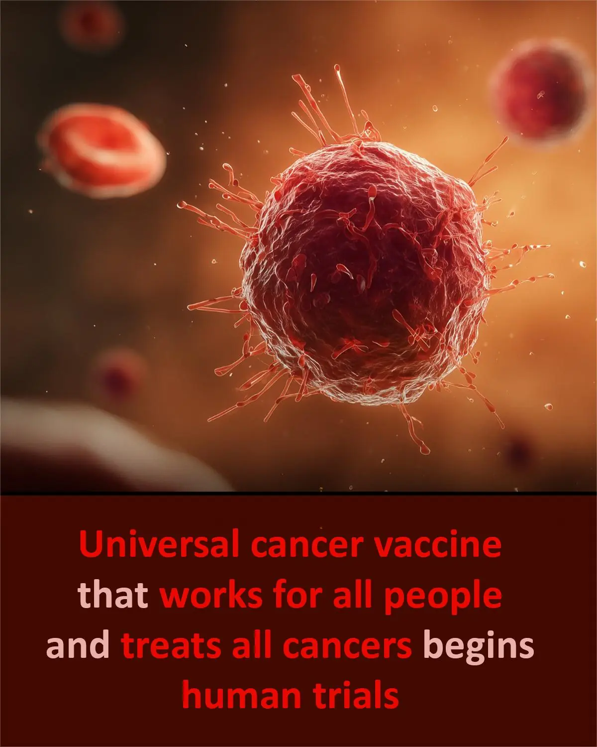 Researchers Edge Closer to a Universal Cancer Vaccine as Human Trials Loom