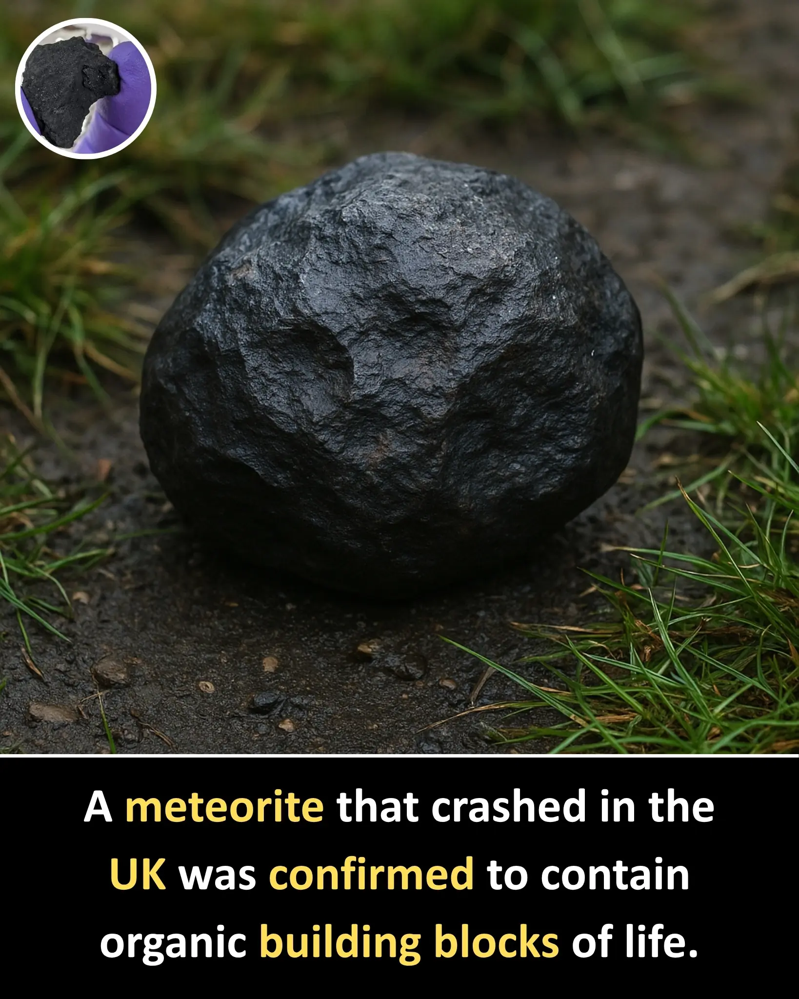 Winchcombe Meteorite: A Pristine Messenger from Space That Carries the Building Blocks of Life
