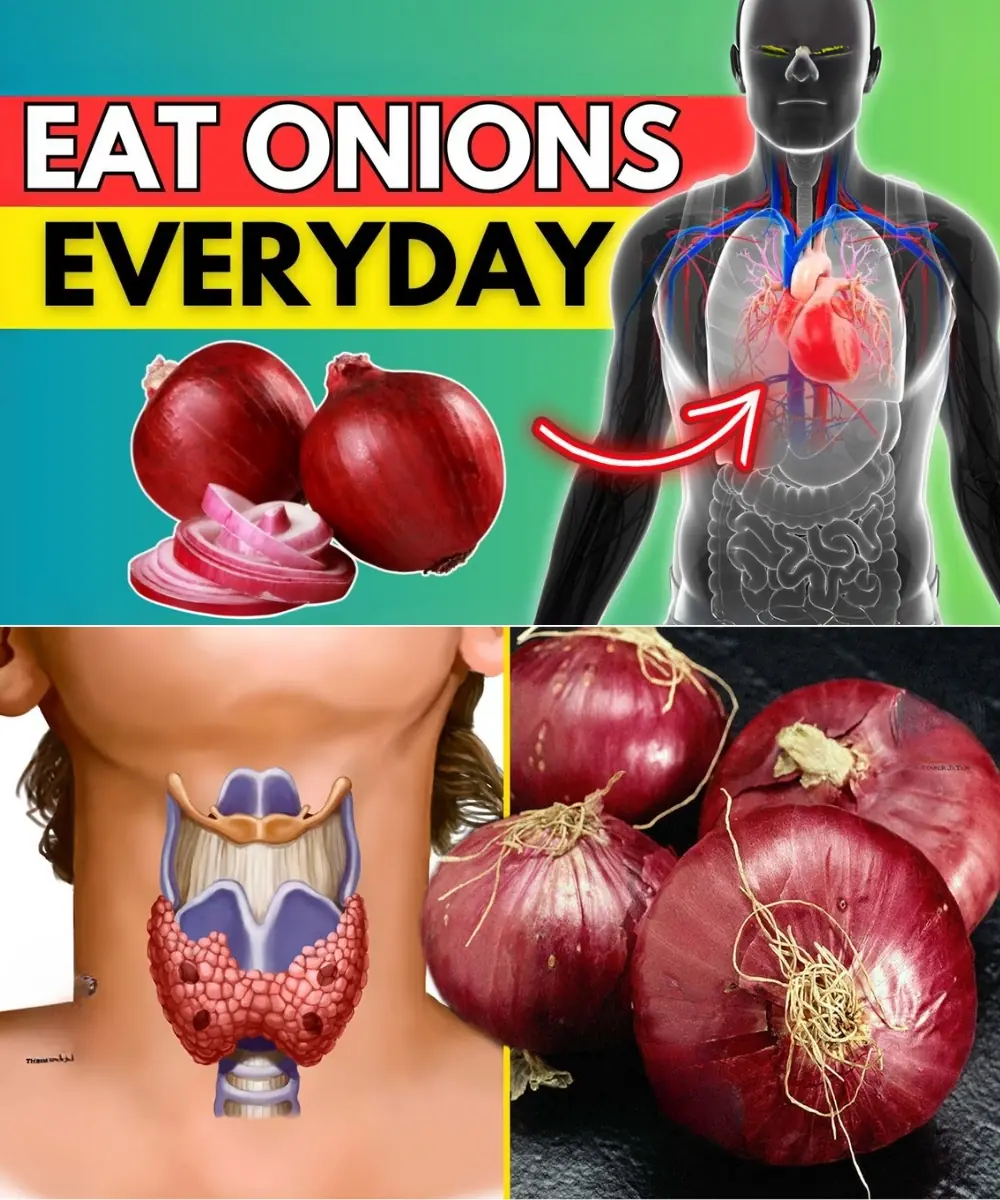 Unlock the Hidden Power of Raw Onions: 12 Surprising Health Benefits You’ll Wish You Knew Sooner!