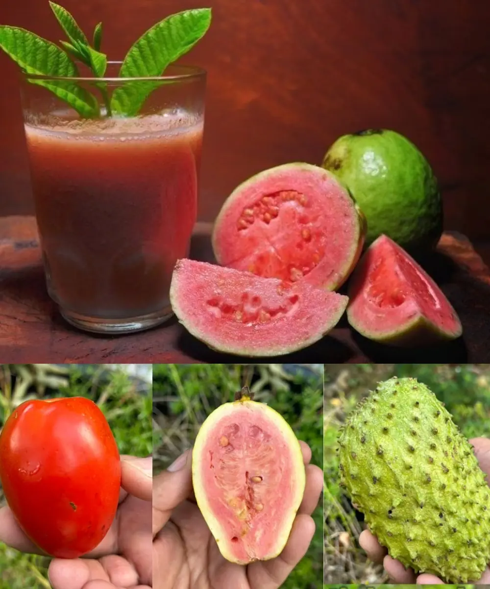 The Natural Drink Taking 2025 by Storm: May Support Diabetes, Cancer & High Blood Pressure