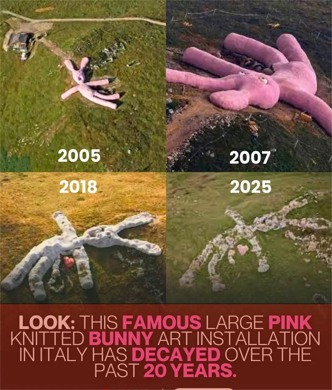 The Giant Pink Rabbit of Italy: From Knitted Monument to Decaying Legacy
