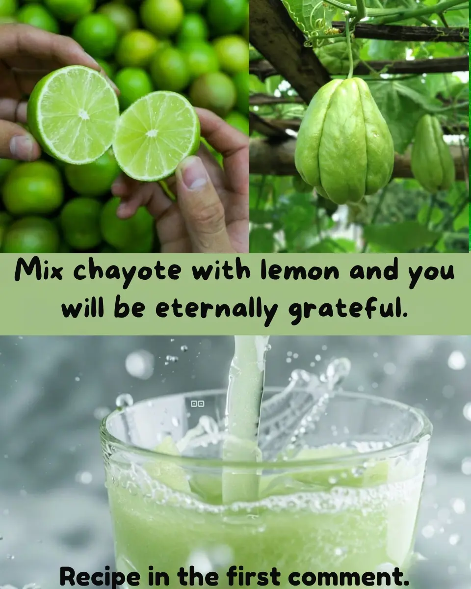 Chayote Benefits: Circulation, Anemia & Joint Pain Relief