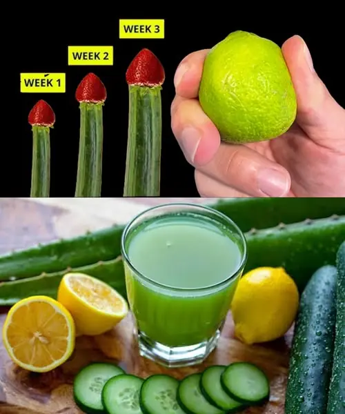 Mix Lemon and Cucumber and You’ll Be Amazed! Why Didn’t I Know This Earlier?