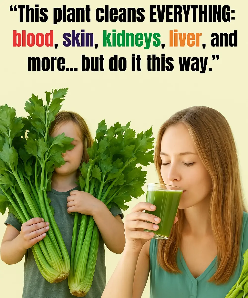 Unlock Your Body’s Potential: The Ultimate Celery Juice Detox for Kidneys, Liver, and Lungs