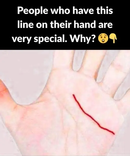 The Meaning of the Main Lines of the Hand