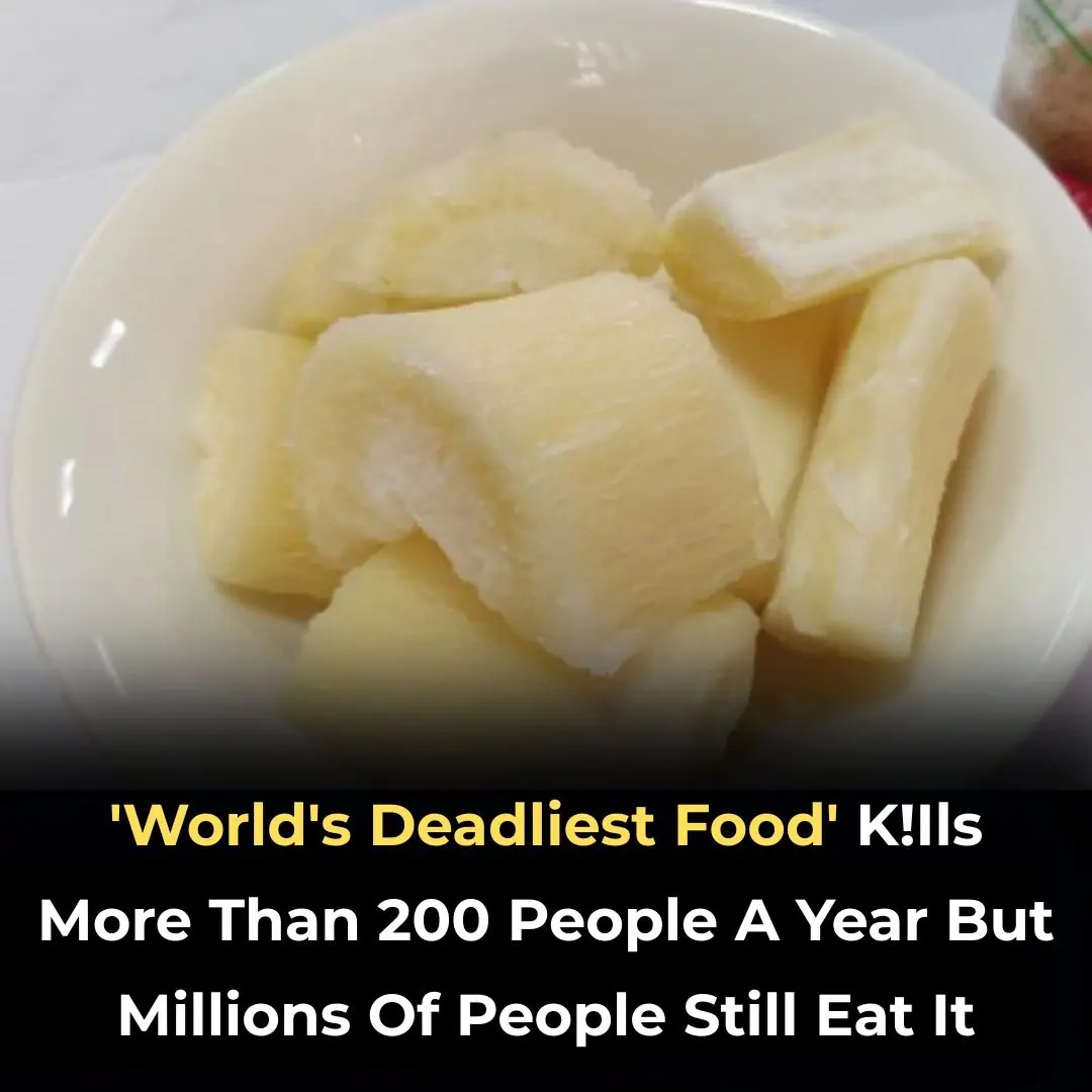 Over 200 People Are Killed by the “World’s Deadliest Food” Every Year — But Nearly 500 Million Still Eat It