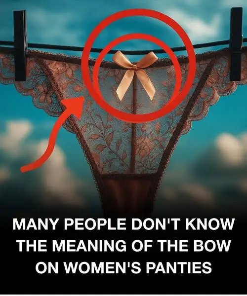 The Little Bow on Women’s Panties: More Than Just a Pretty Detail