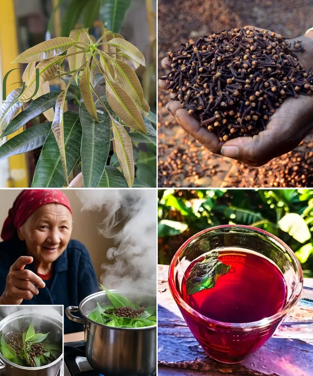 Unlock Nature’s Secret: The Magic of Mango Leaf Tea with Cloves