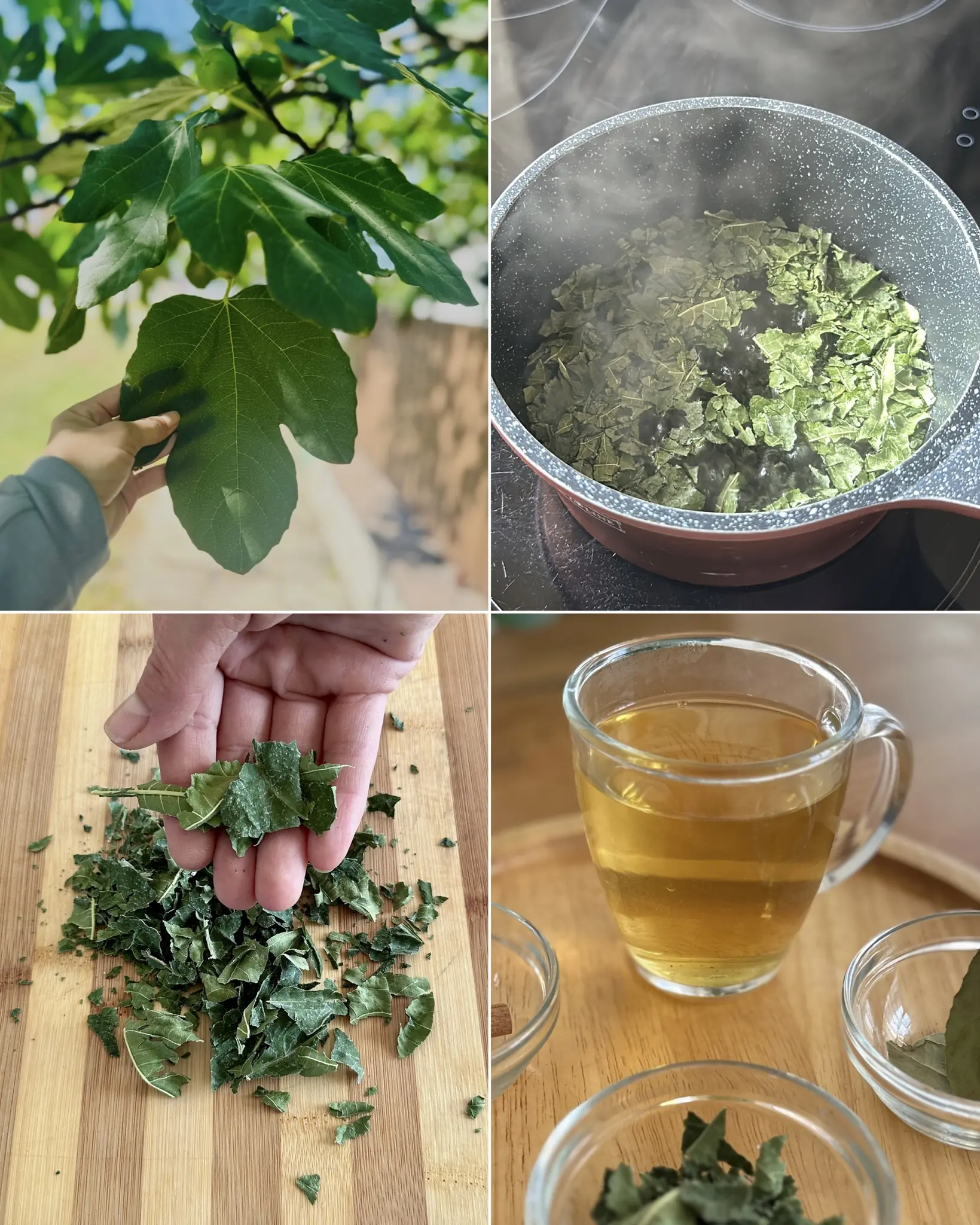 The Surprising Benefits of Fig Leaf Tea 🌿🍵