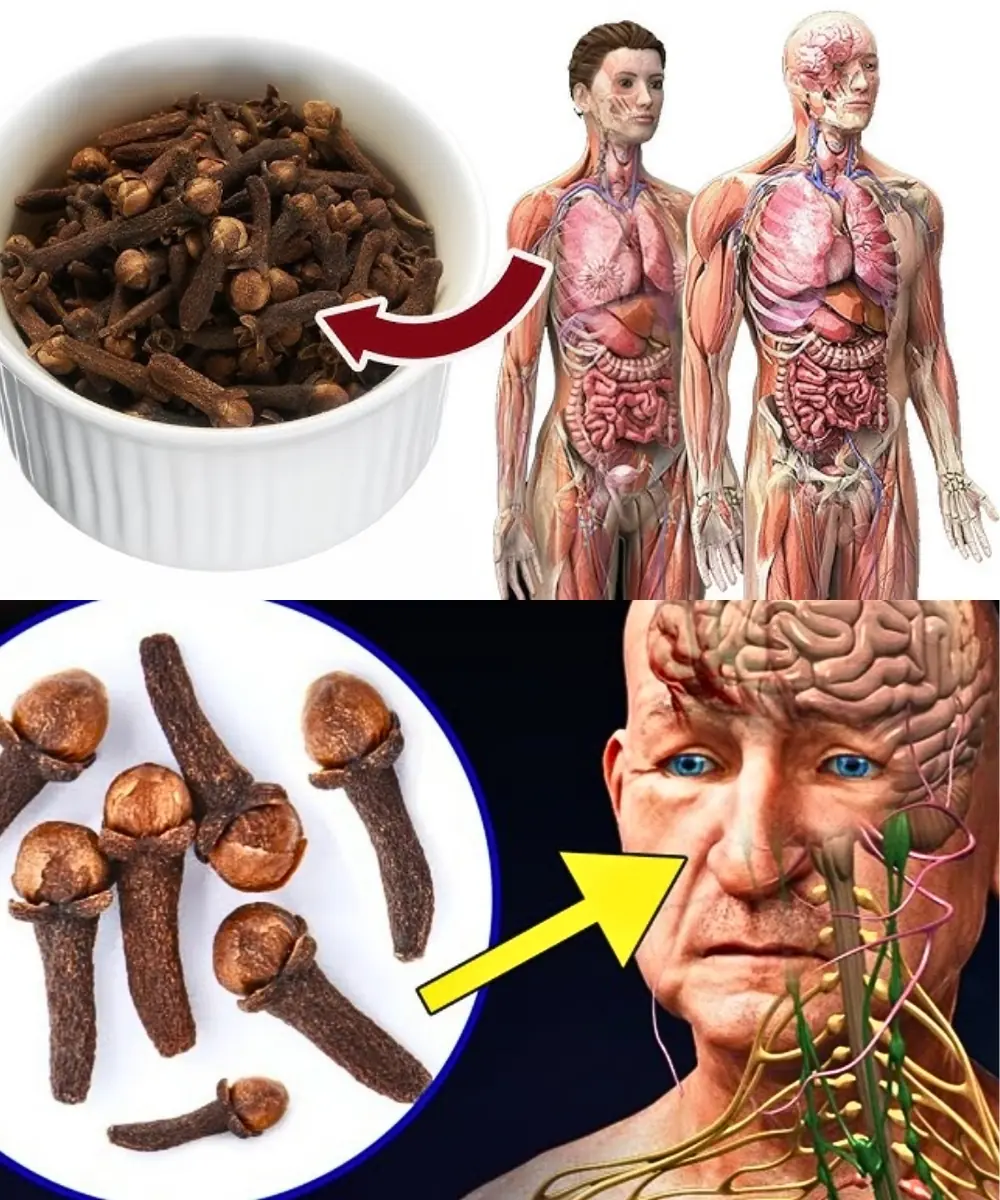 After 50: Why Starting Your Morning with 2 Cloves Can Be a Gentle Wellness Boost