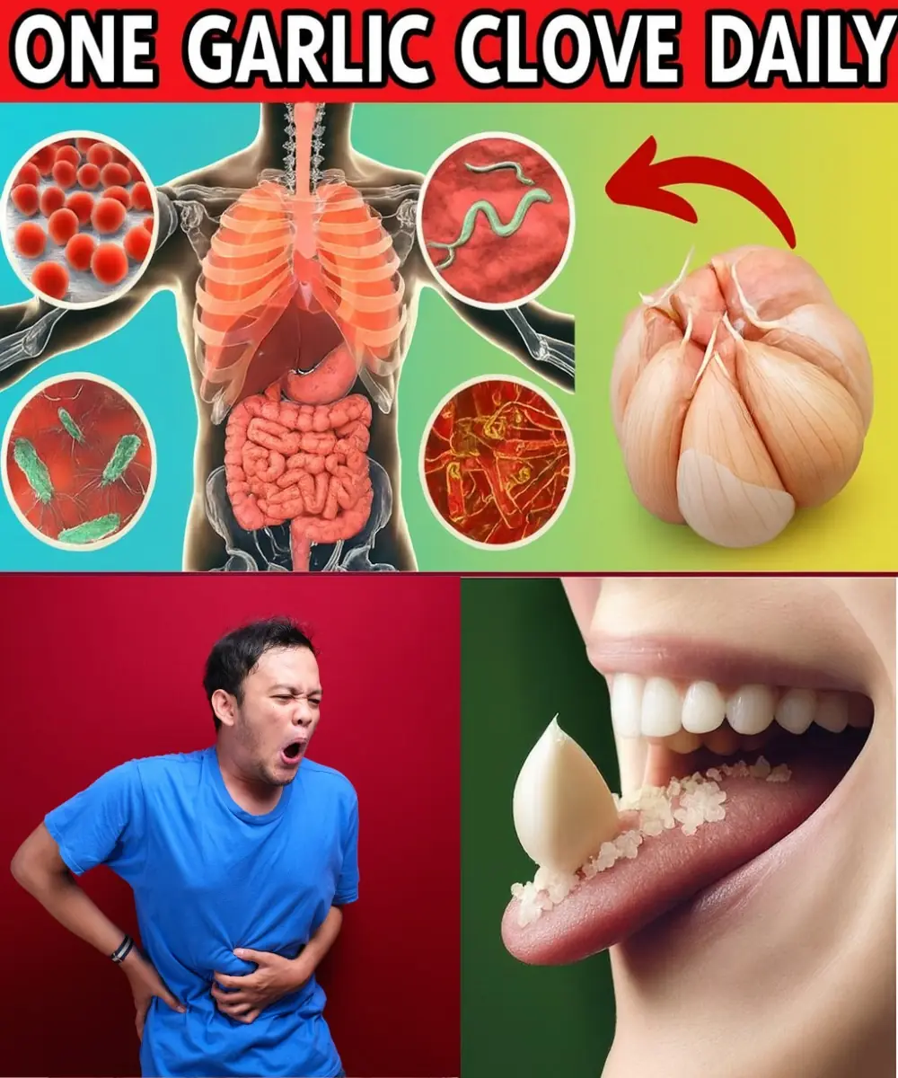 Why One Garlic Clove a Day Could Change Your Life Forever