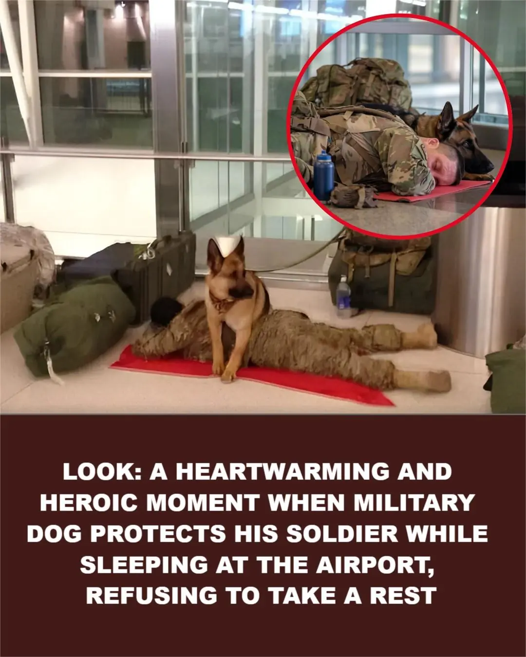 Viral Photo of Military Dog Standing Watch Over Sleeping Soldier Captures Hearts — But Full Story Remains Unverified
