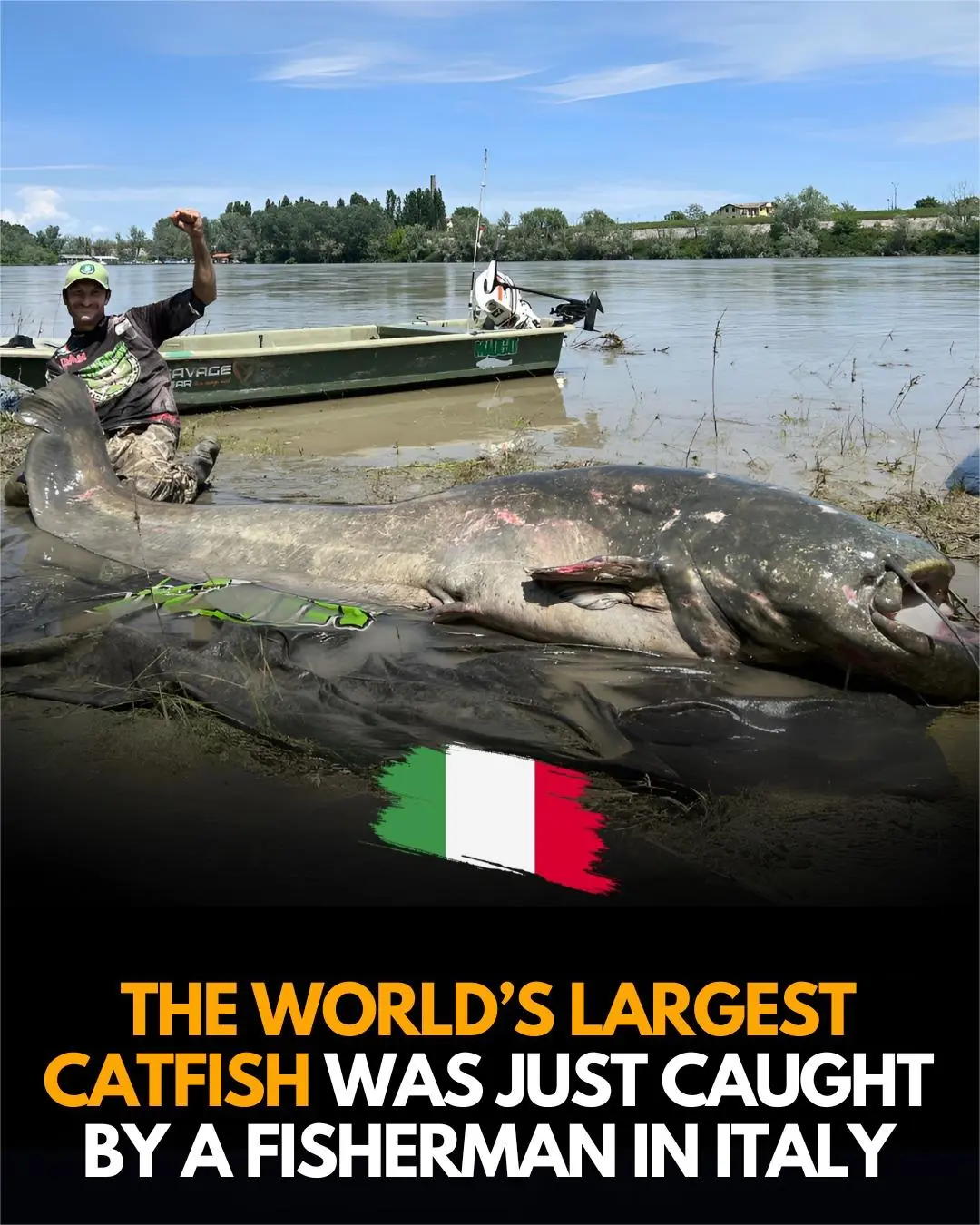 Italian Angler Lands Colossal Catfish That Could Set a New Record