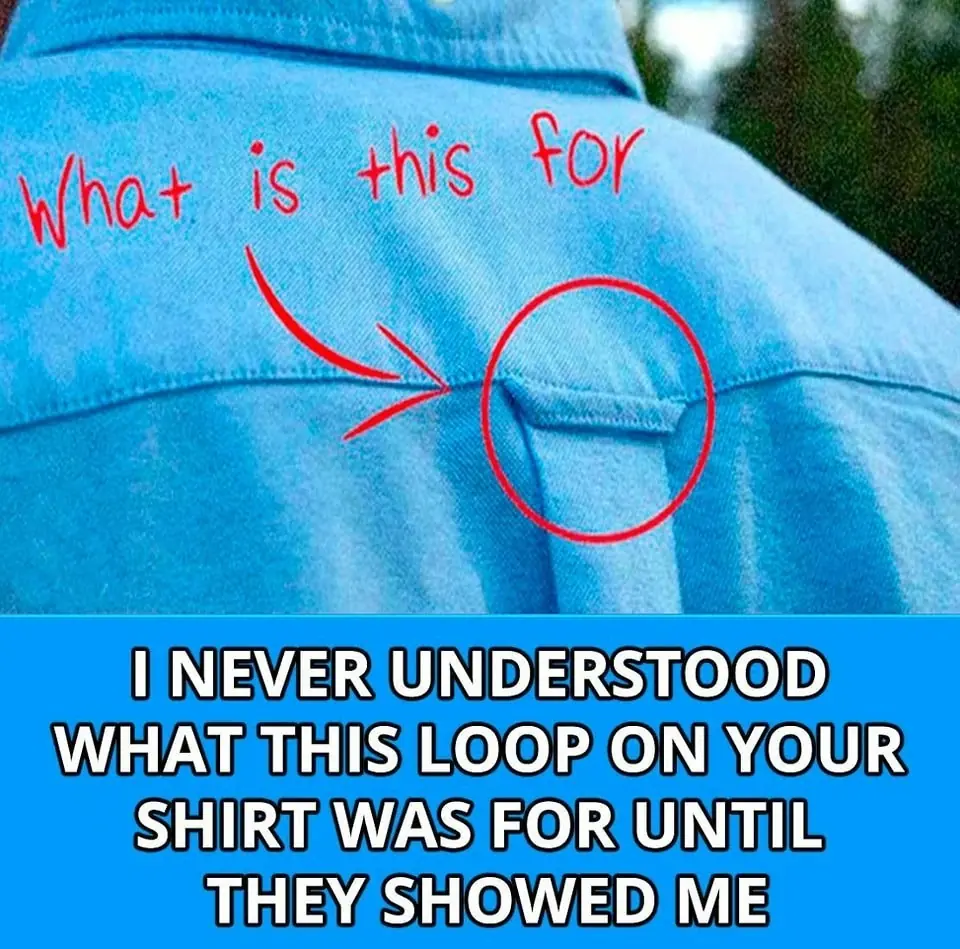 Why Do Button-Down Shirts Have Loops on the Back? The Surprising History of the "Locker Loop" šš