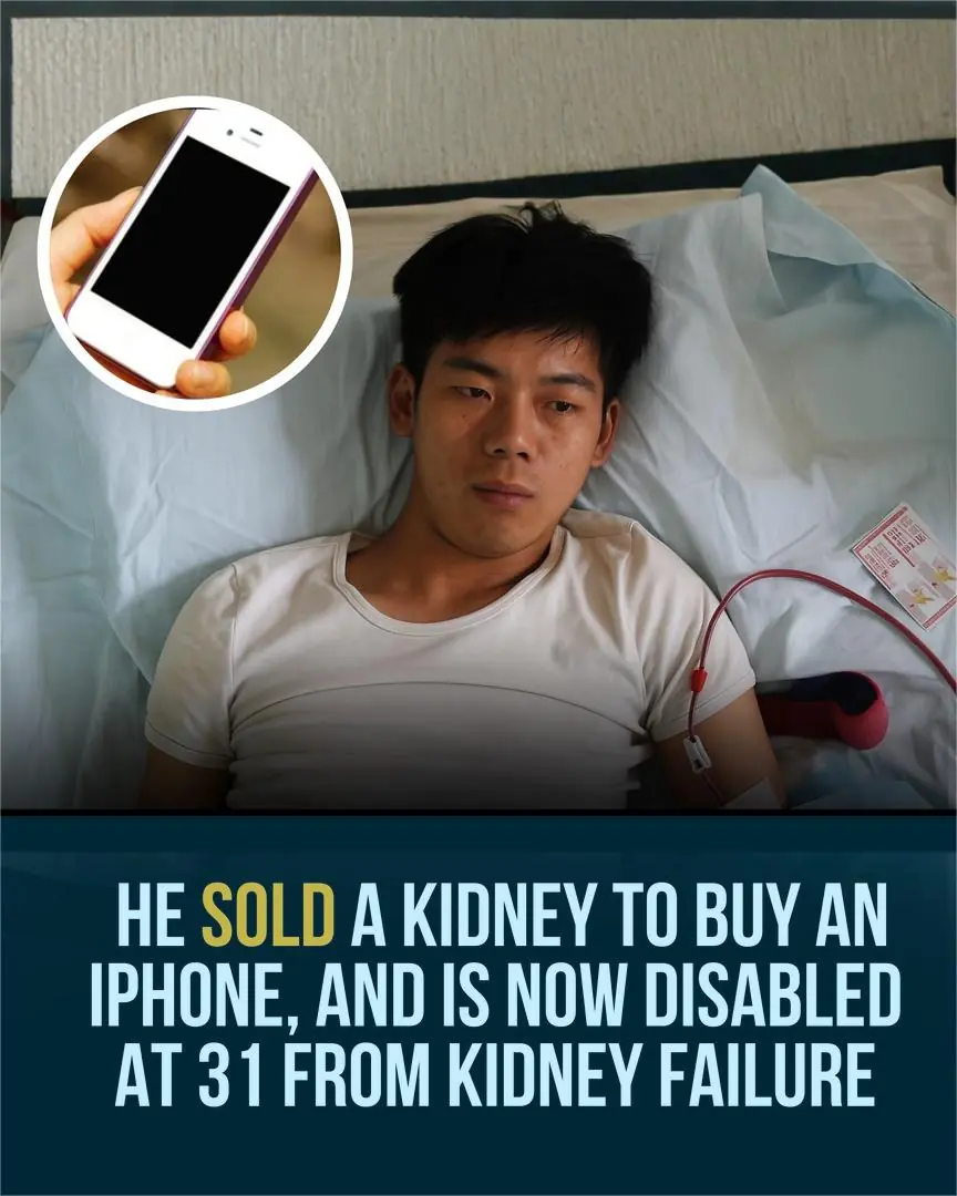 The High Price of a Status Symbol: How a Teen’s Kidney-for-iPhone Deal Became a Cautionary Tale