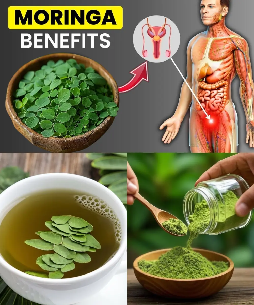 Moringa: The Miracle Tree That Transforms Your Health