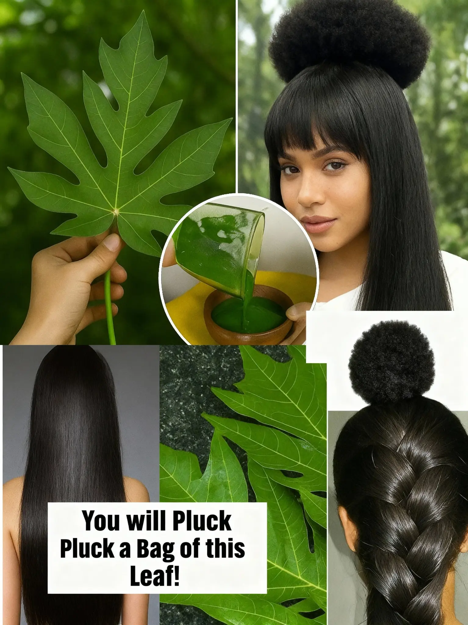 Can Papaya Leaves Turn Gray Hair Black? Nature’s Secret to Youthful, Vibrant Locks!