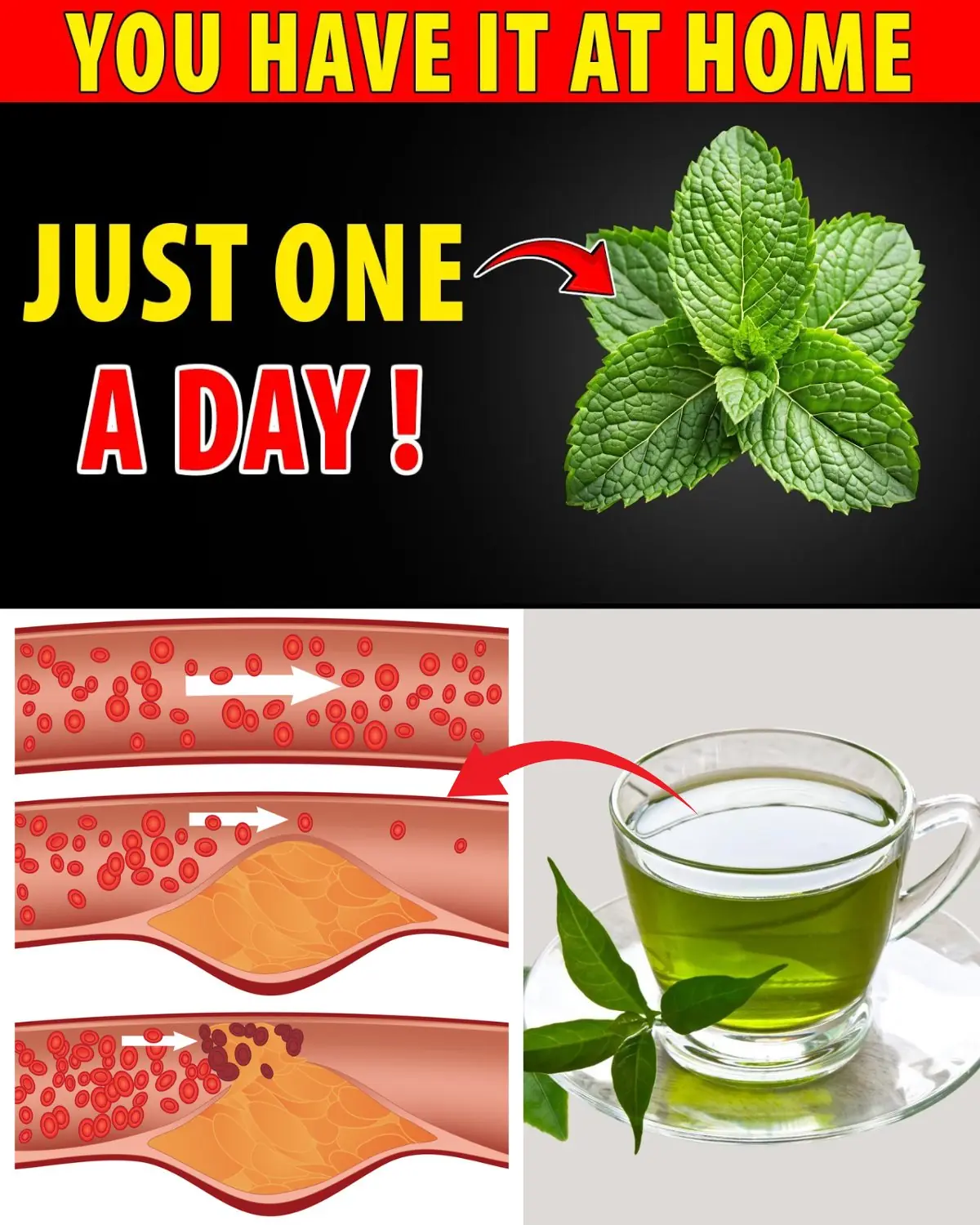 Miracle Alert! 1 Leaf That May Support Healthy Blood Sugar, Cholesterol, and a Trim Waist