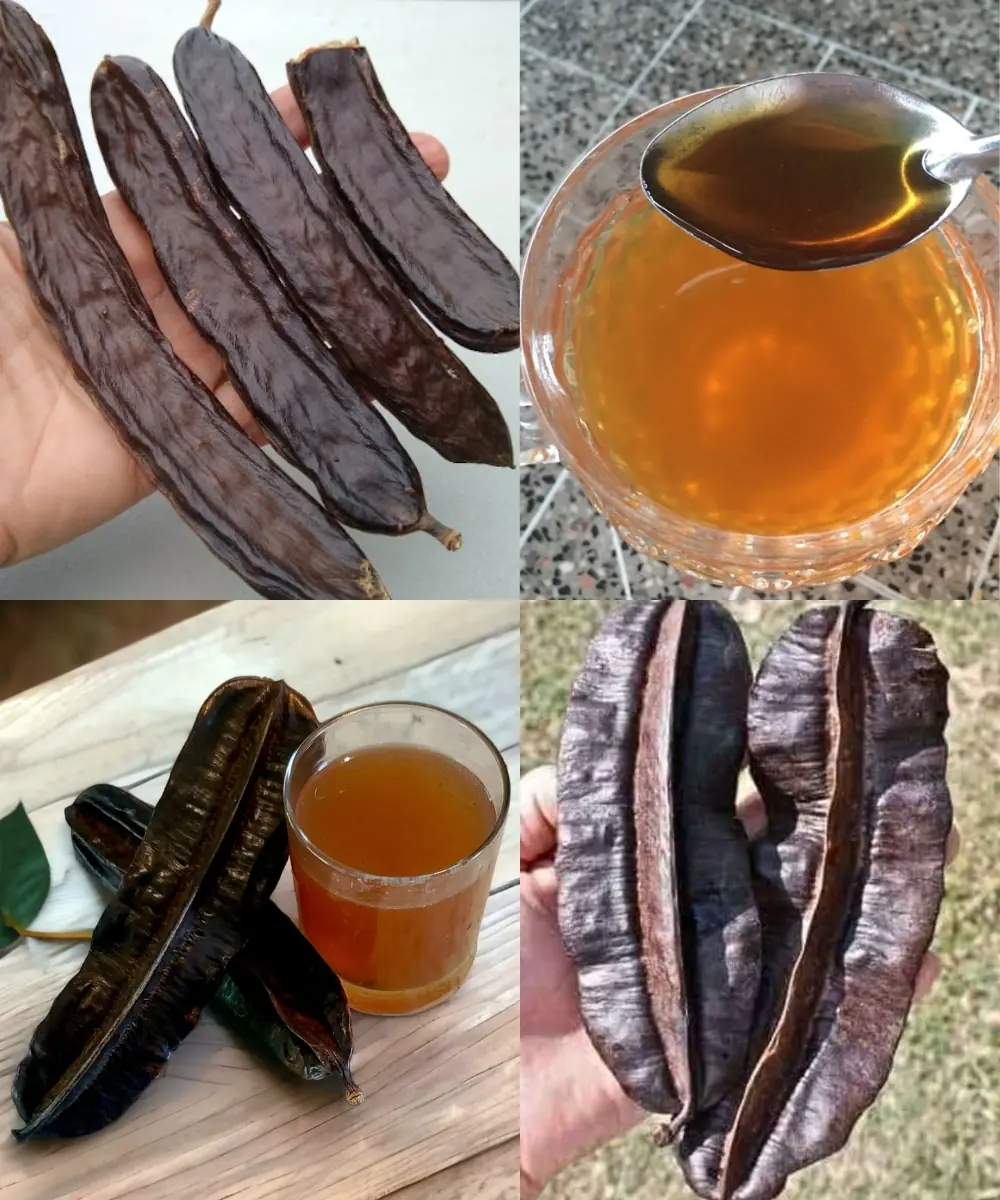 Carob: The Forgotten Superfruit Making a Healthy Comeback in 2025
