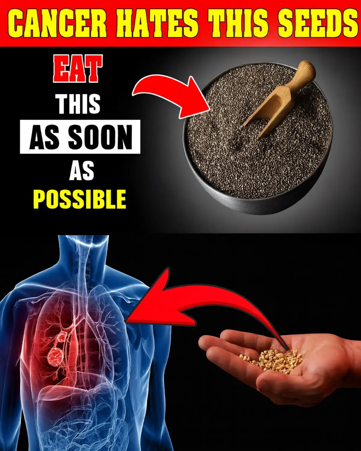 Cancer Hates These 6 Seeds – Seniors, Eat Them Daily (Support Wellness Naturally)
