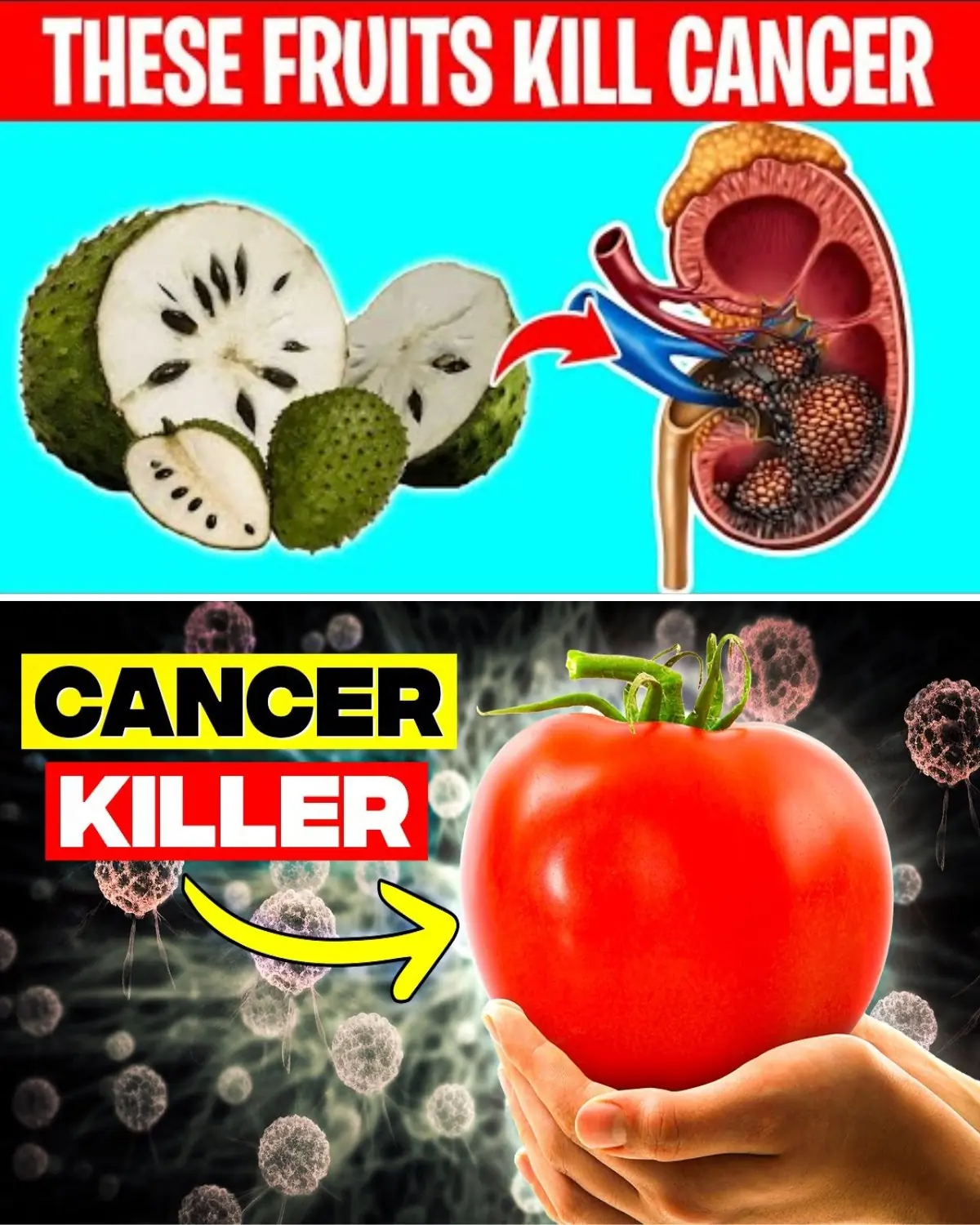 Fruits and Cancer: 10 Fruits That May Help Your Body Fight Back