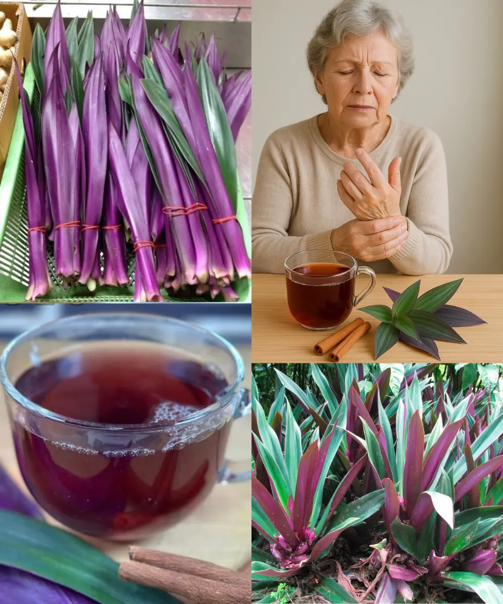 Say Goodbye to Urinary Problems, Asthma, Diabetes, Poor Circulation, Fatty Liver, and High Blood Pressure with This Powerful Plant!