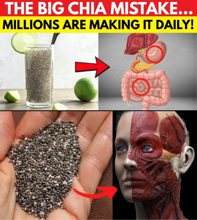 What Happens When You Drink Chia Seed Water Daily?