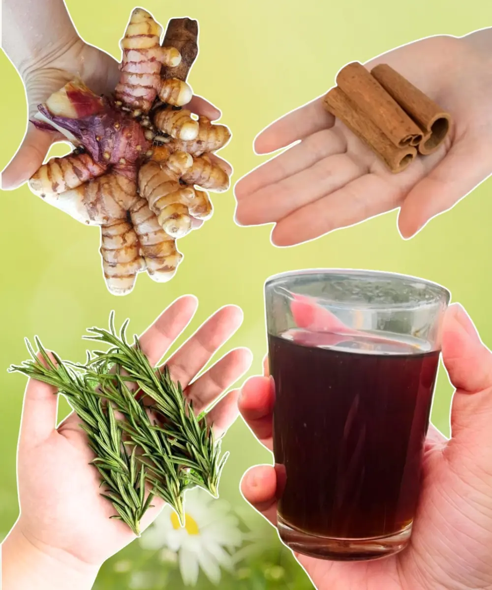 They Call It the Blood Sugar Remover: The 100-Year Remedy That Heals Kidneys, Cleans Cholesterol, and Fights Diabetes Naturally
