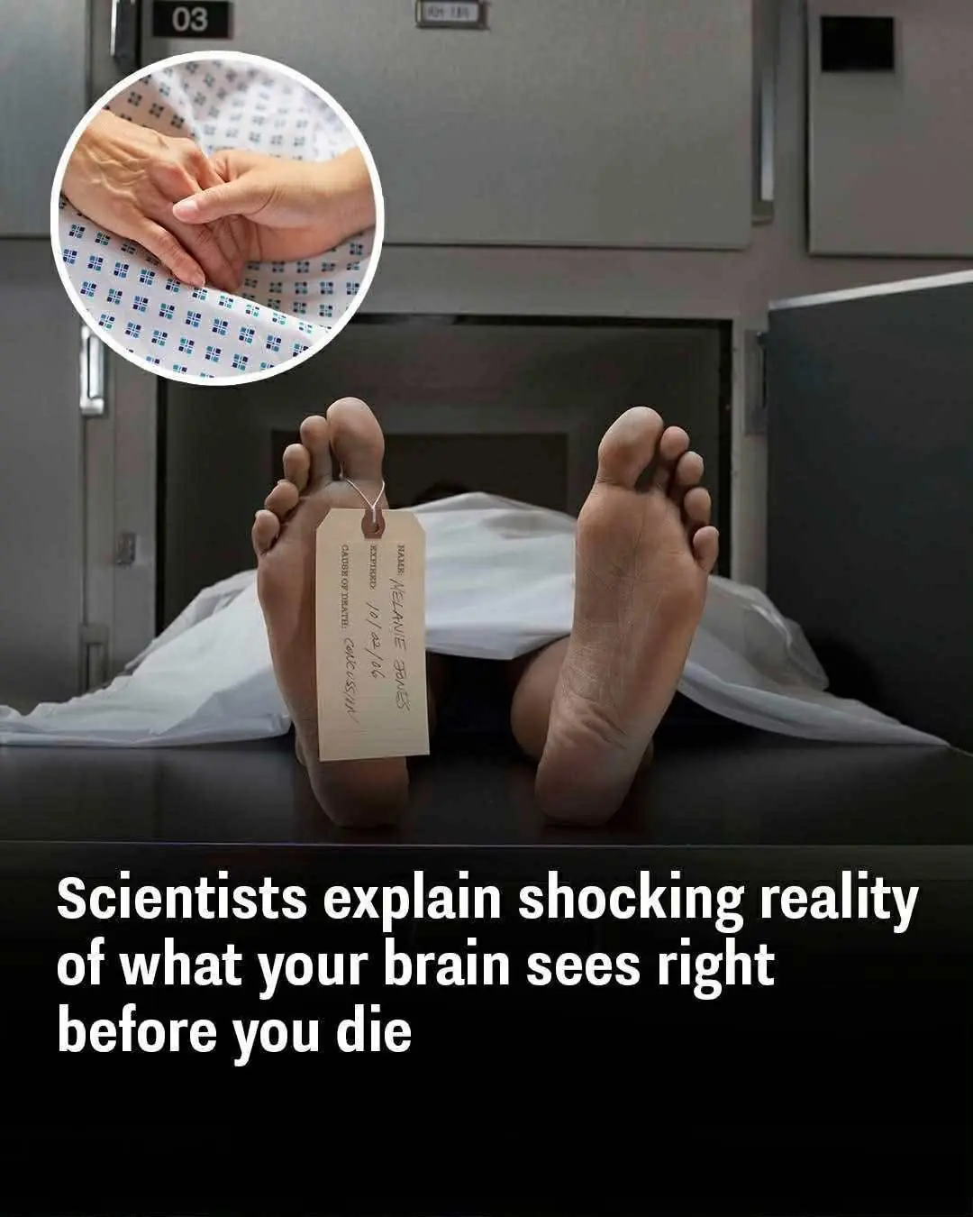 Scientists explain shocking reality of what your brain sees right before death