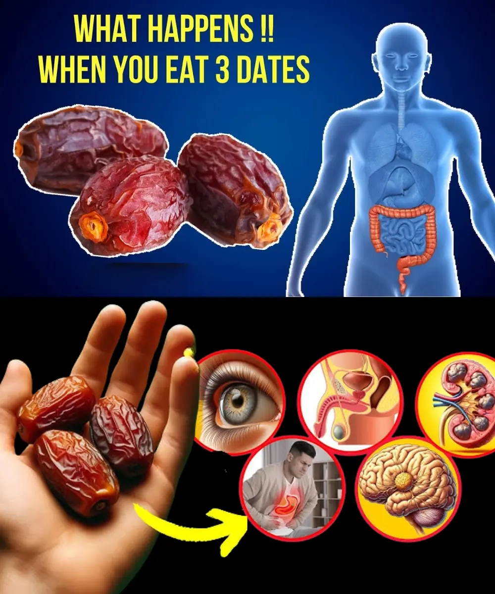 12 Surprising Benefits of Eating Just 3 Dates a Day – A Sweet Boost for Your Health