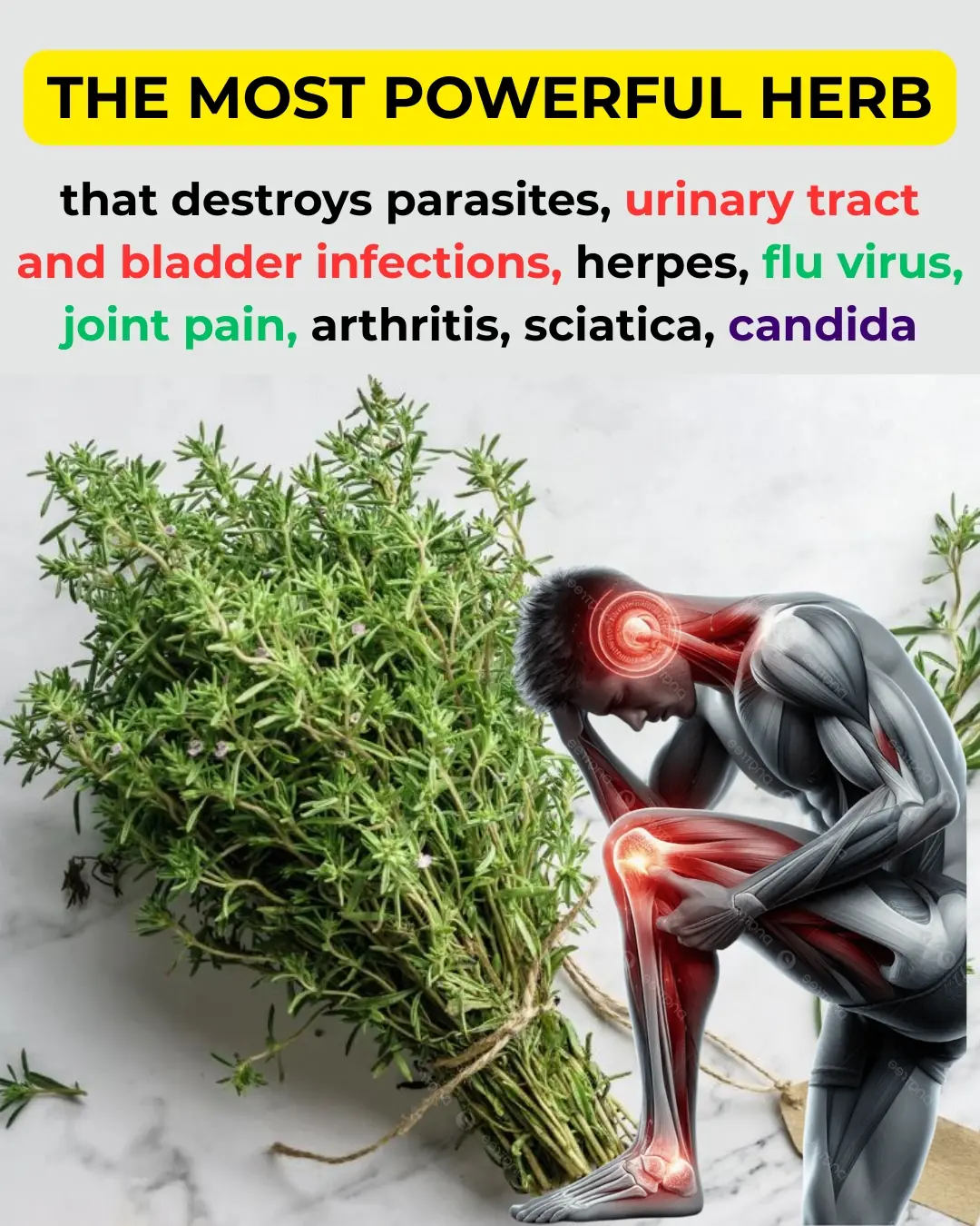 Thyme: The Tiny Herb with Big Healing Power in 2025 🌿✨