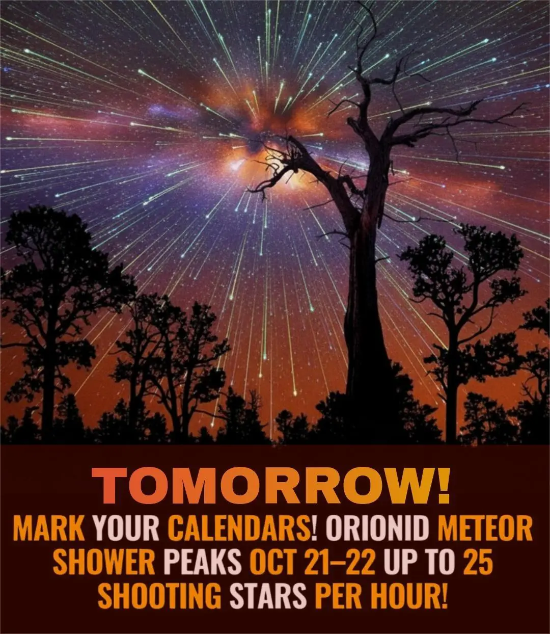 October 21: Rare Green Comet Meets Orionid Meteor Shower in a Double Cosmic Spectacle