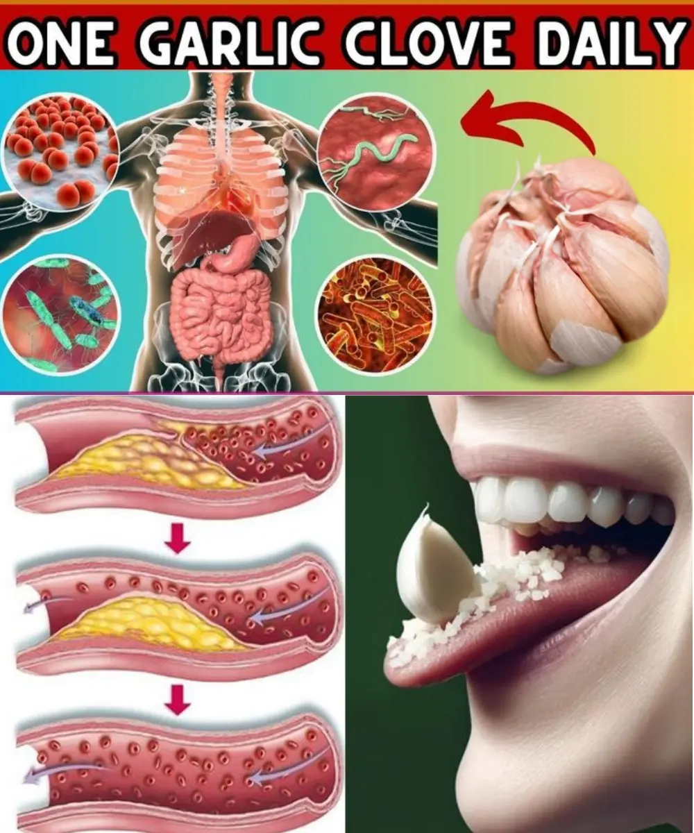 11 Reasons Why You Should Eat One Garlic Clove Daily