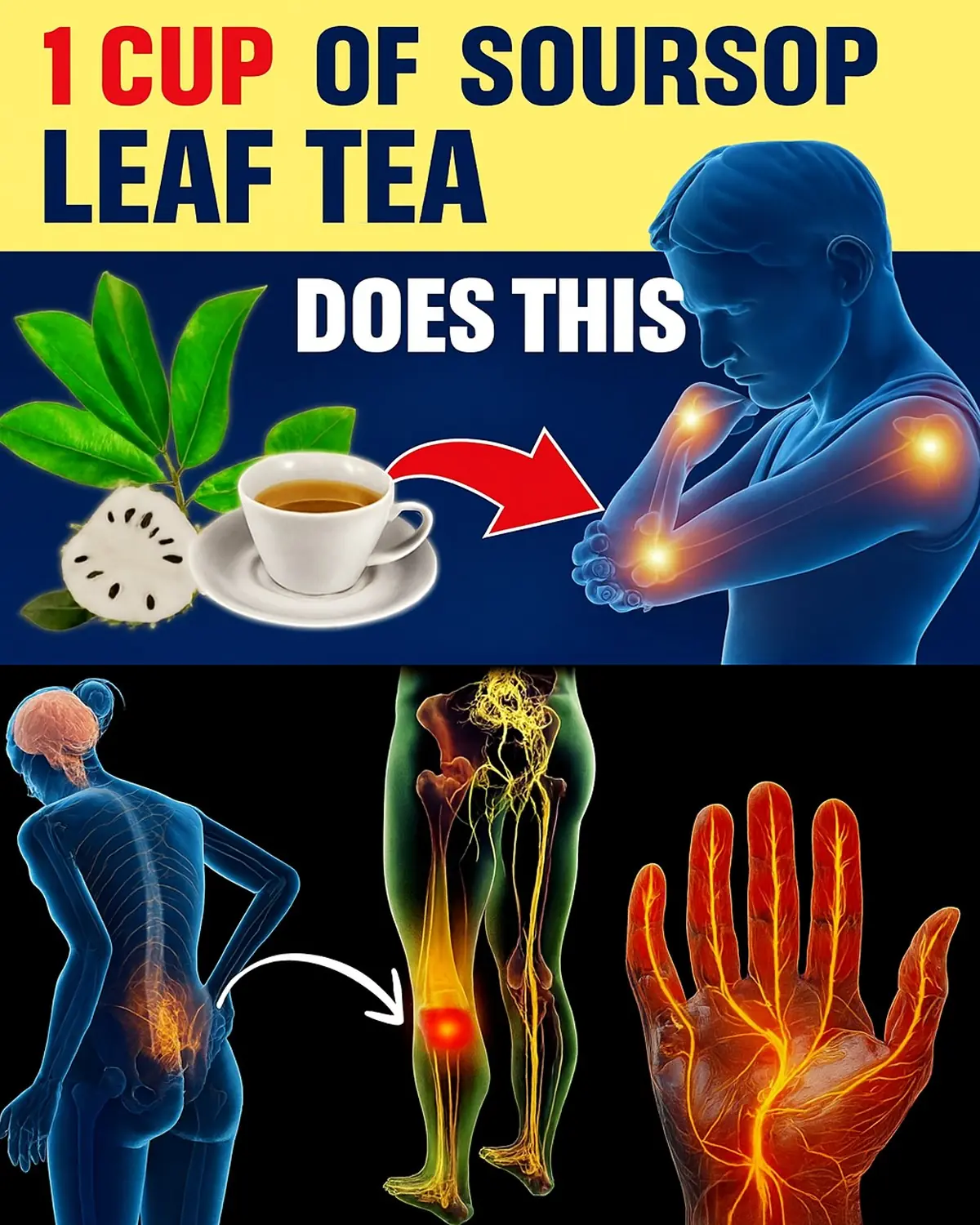 13 Powerful Benefits of Soursop Leaf Tea