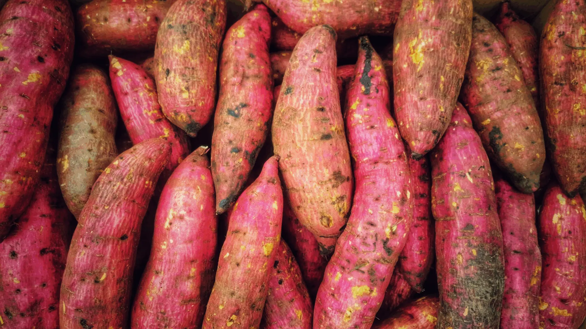 7 Shocking Health Benefits Of Eating Sweet Potatoes Every Day — According To Science