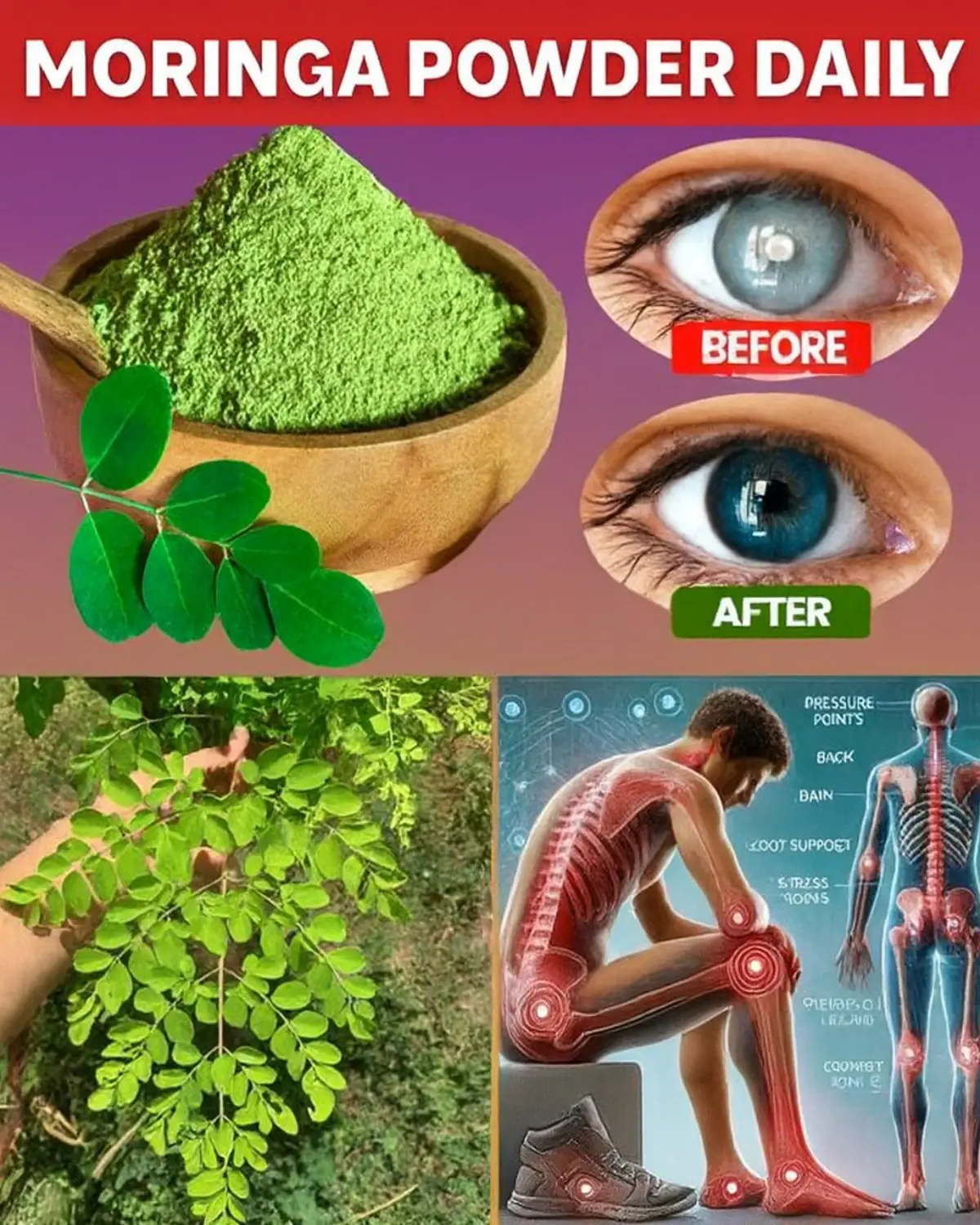 13 Amazing Benefits of Moringa Leaves for Your Body