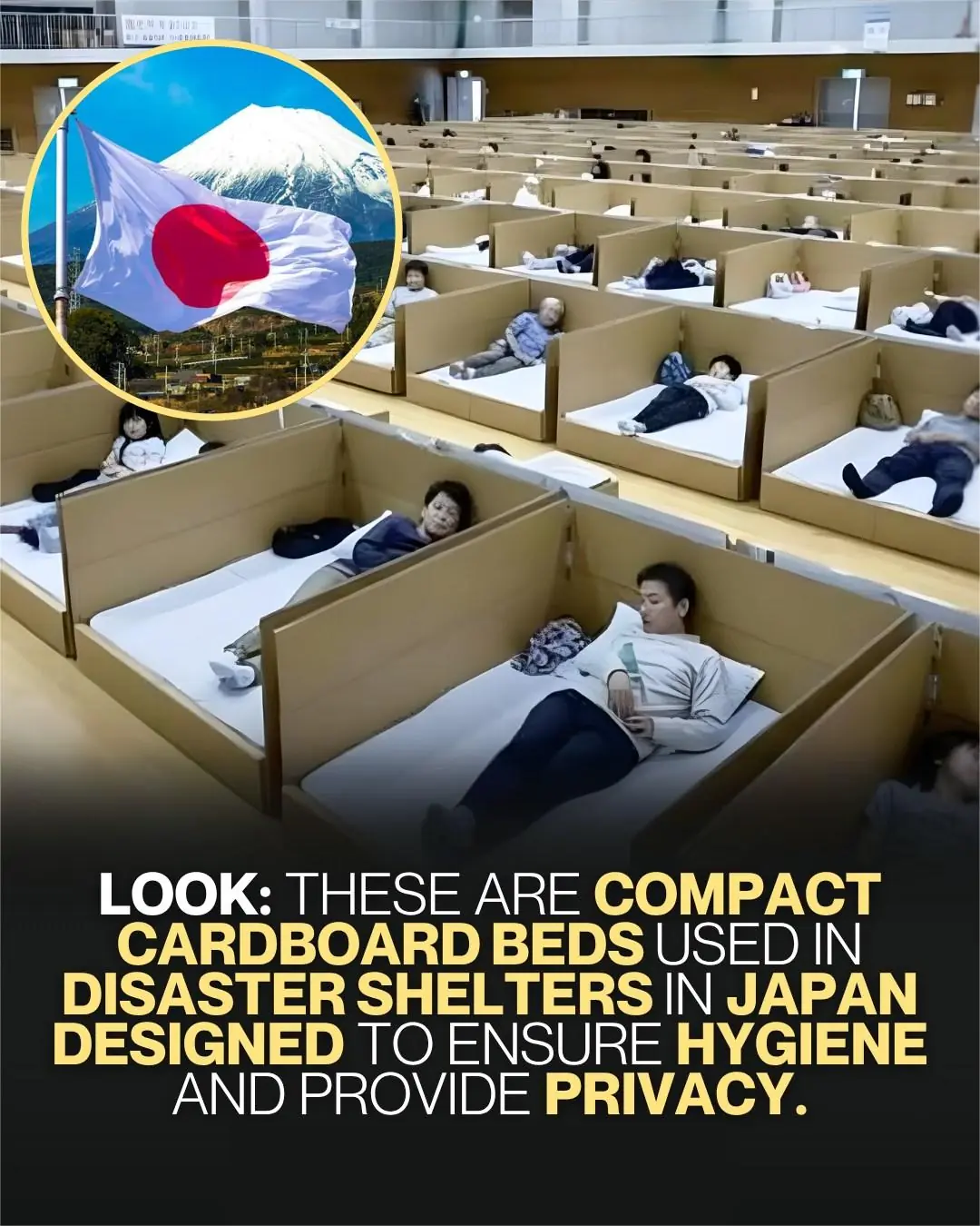 Japan’s Ingenious Cardboard Beds: Dignity and Design in Times of Disaster